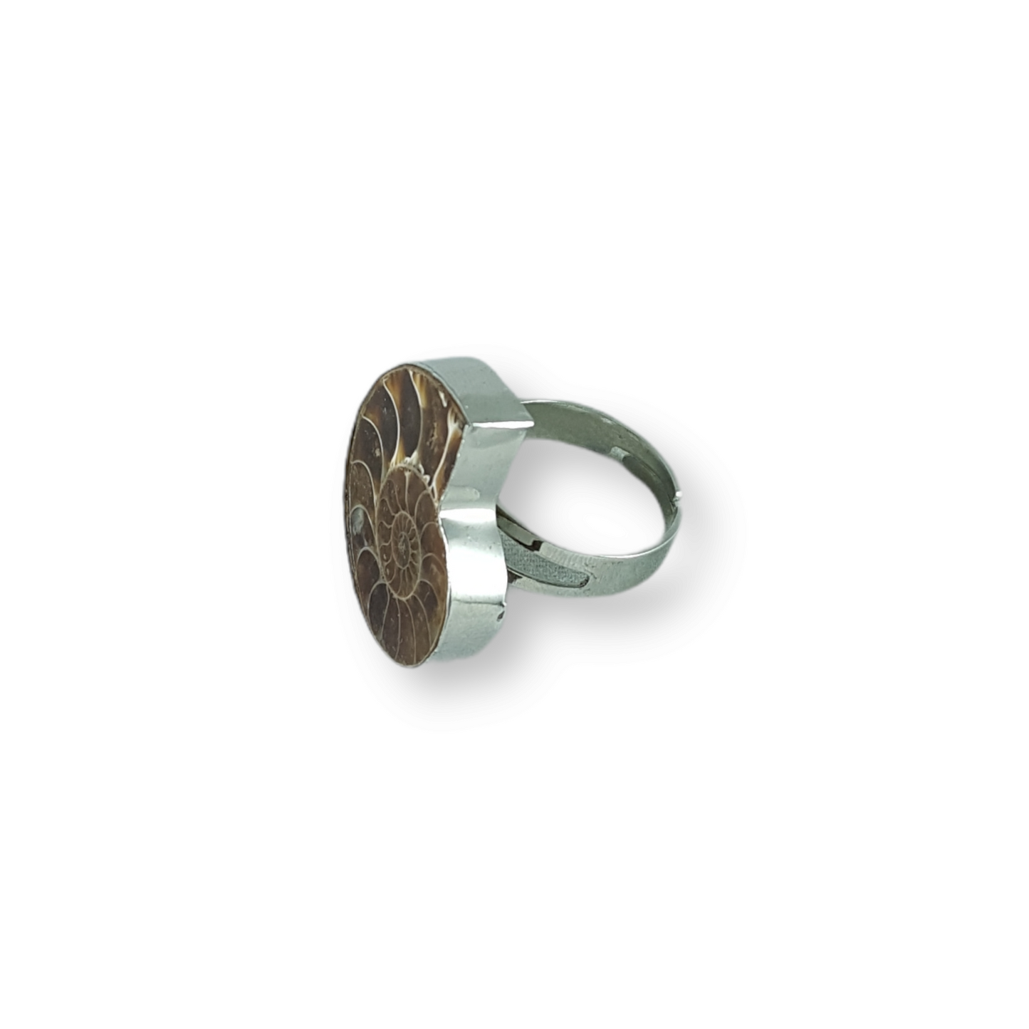 Ammonite Cocktail Ring