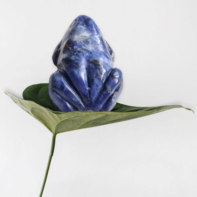 Frog, Sodalite