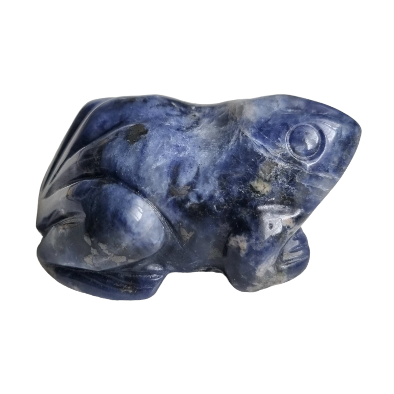 Frog, Sodalite