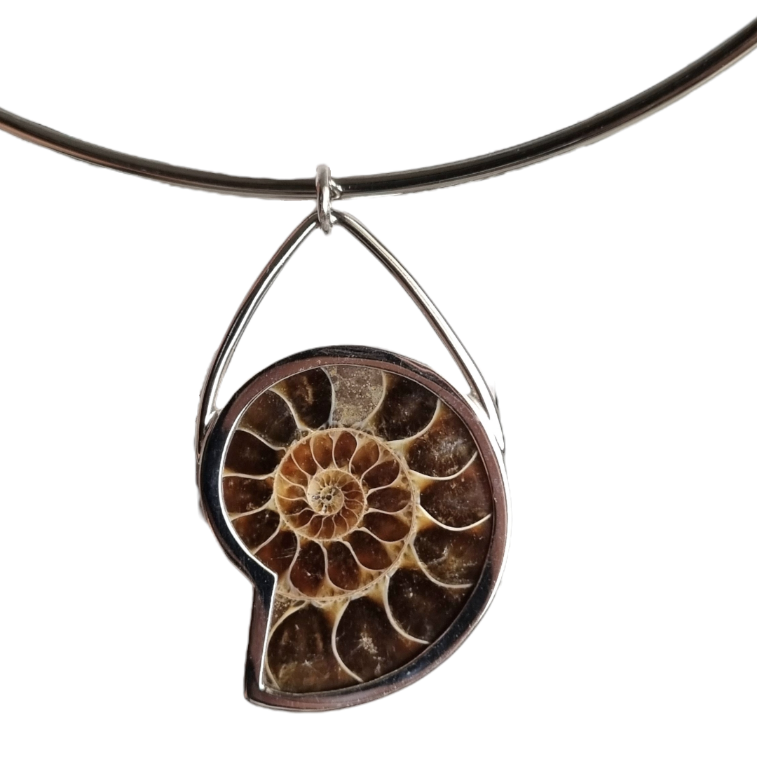 Ammonite Pendant