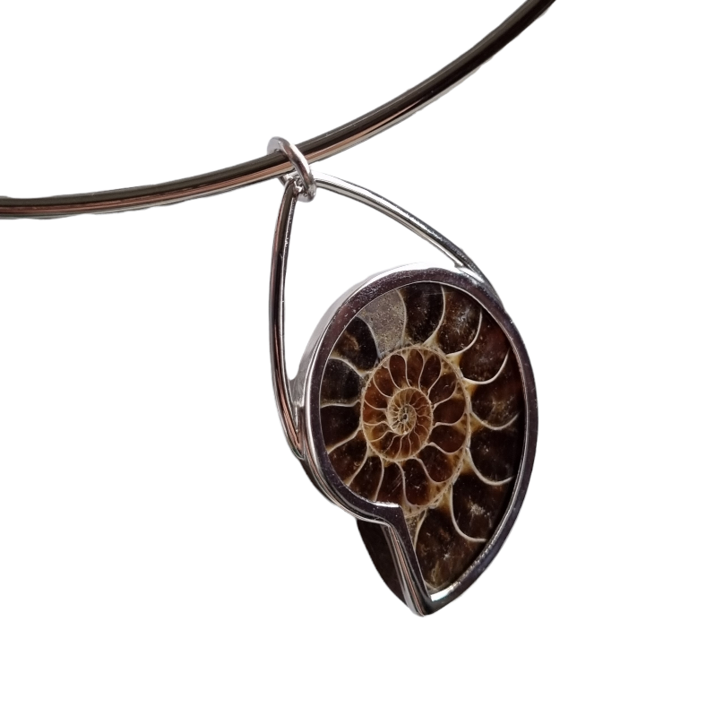 Ammonite Pendant