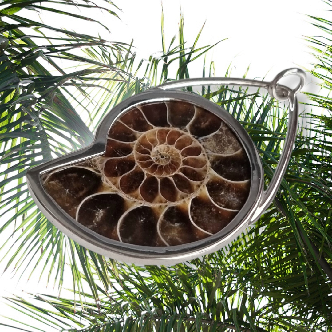 Ammonite Pendant