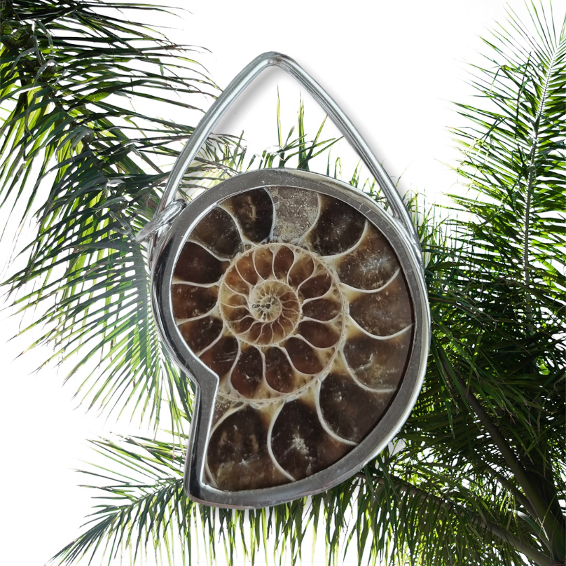 Ammonite Pendant