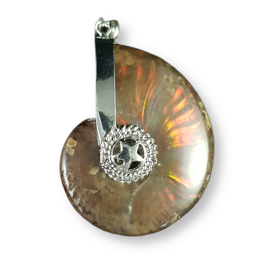 Ammonite Pendant Special Statement