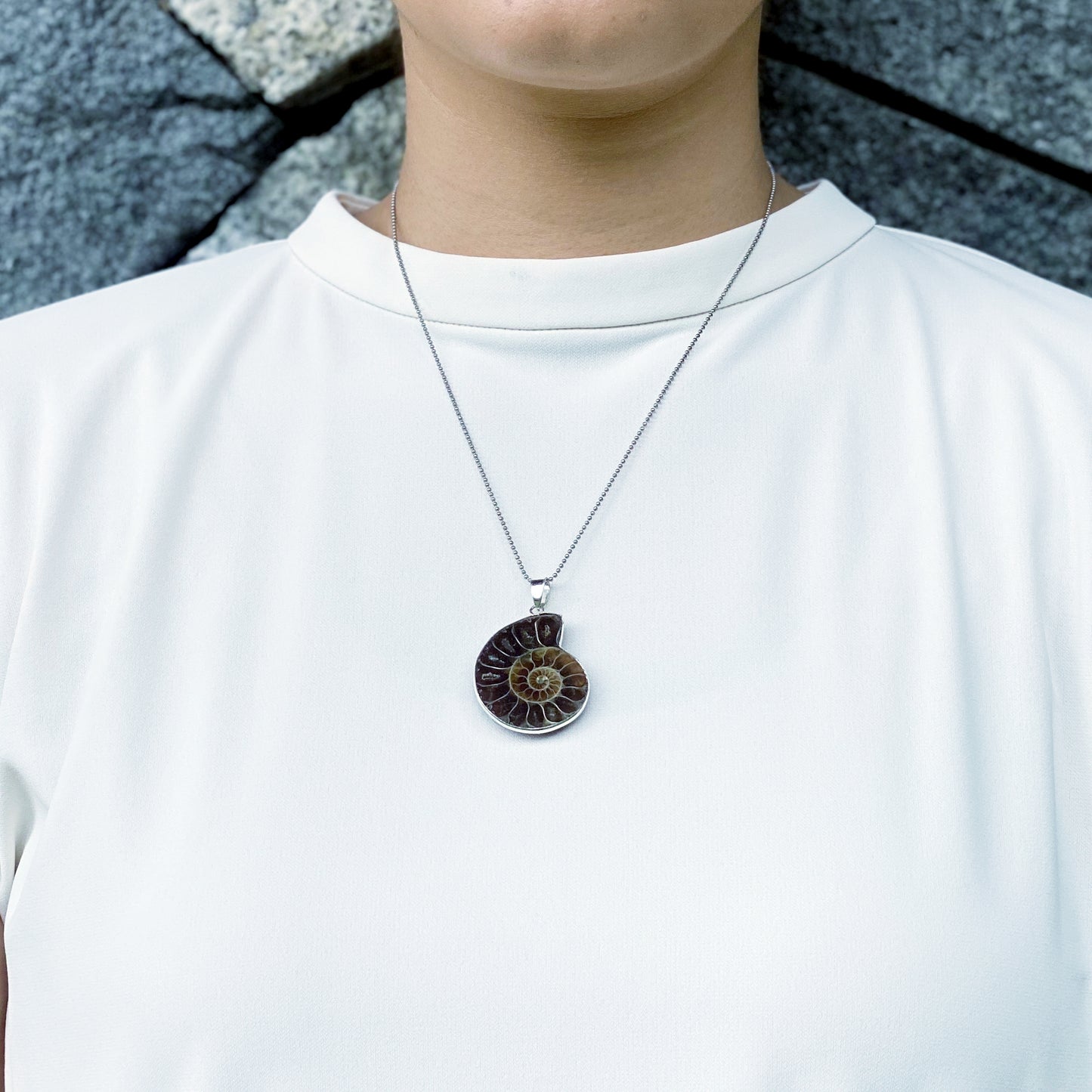 Ammonite Pendant Medium