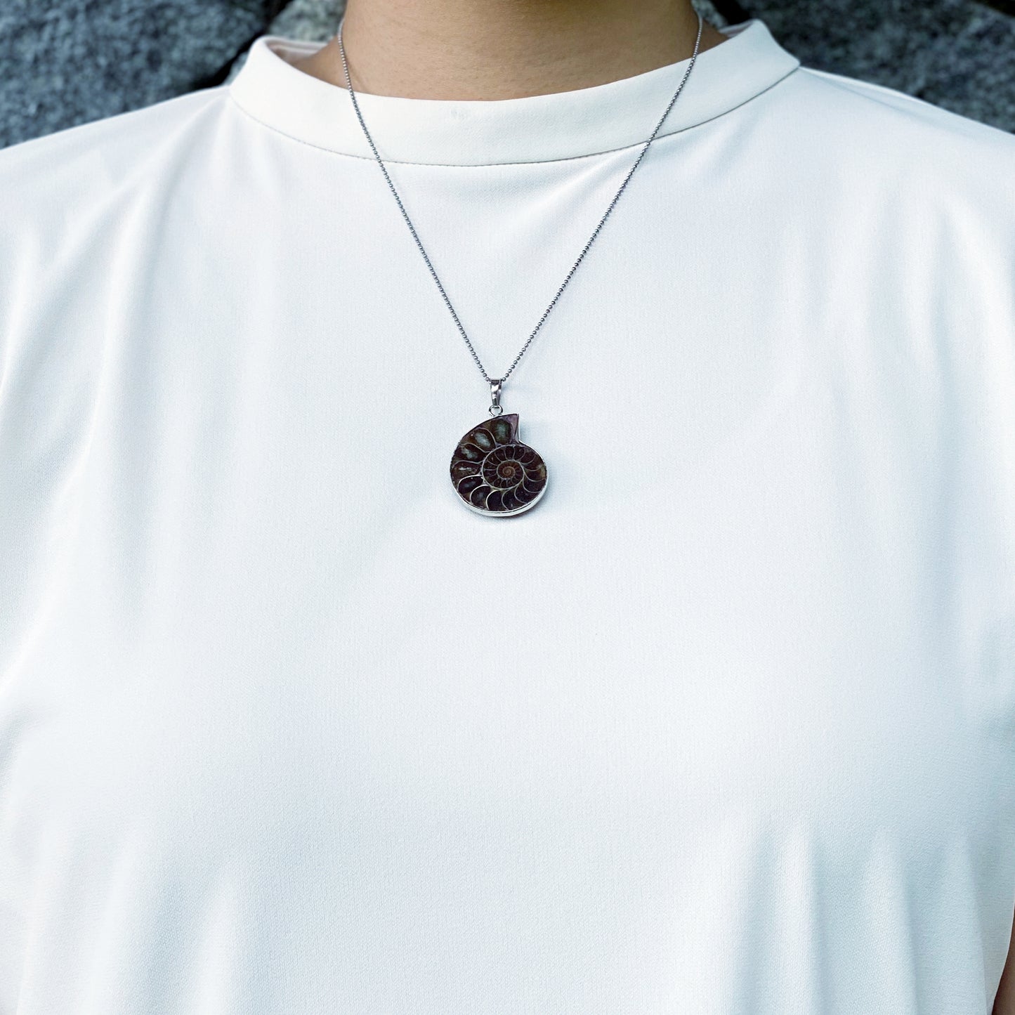 Ammonite Pendant Small