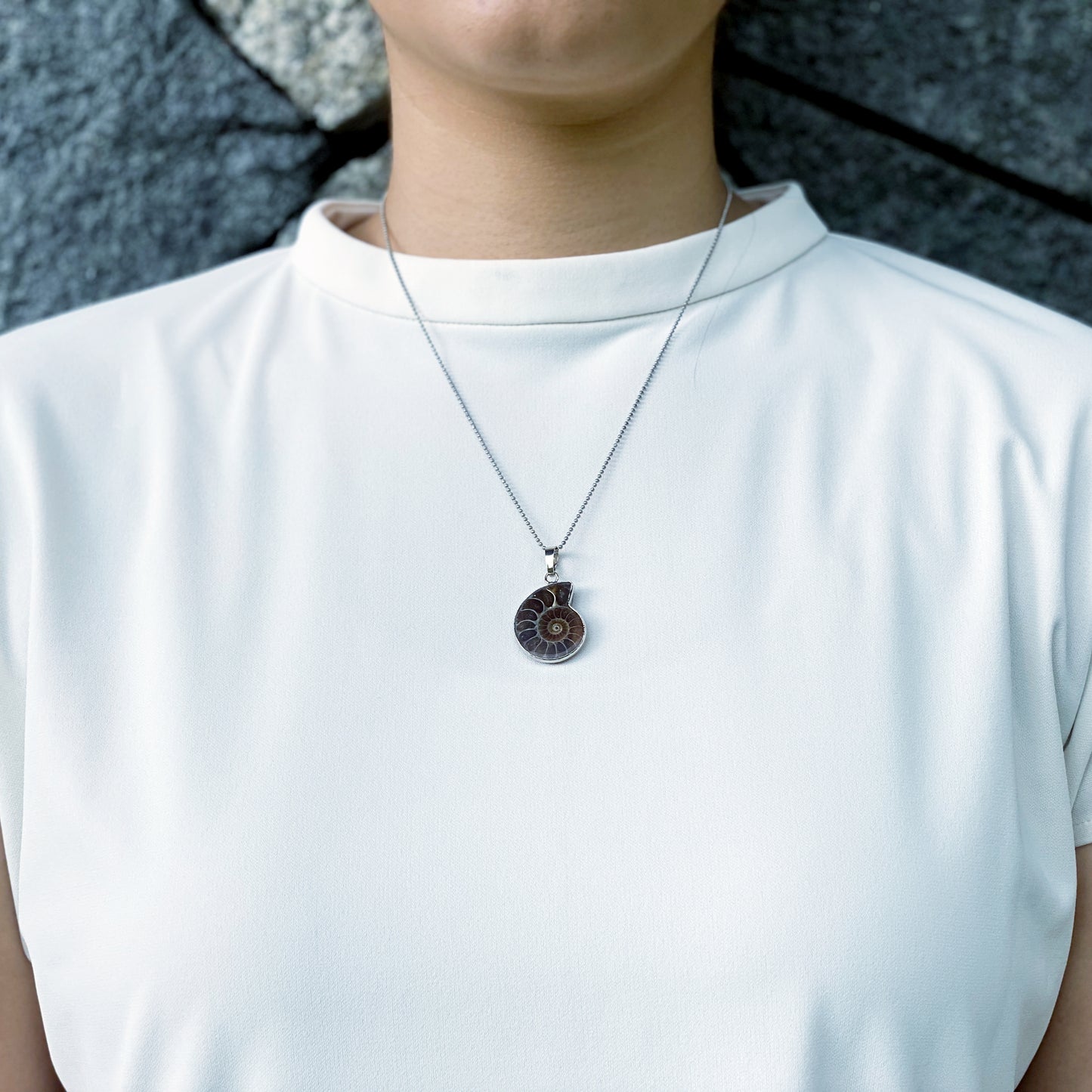 Ammonite Pendant SmallXX