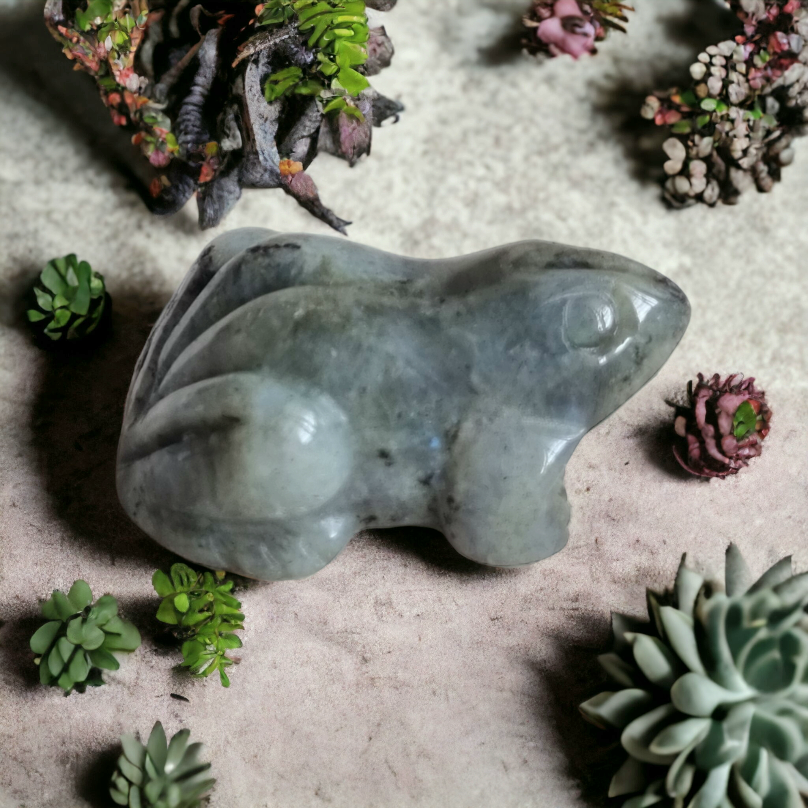 Labradorite Frog