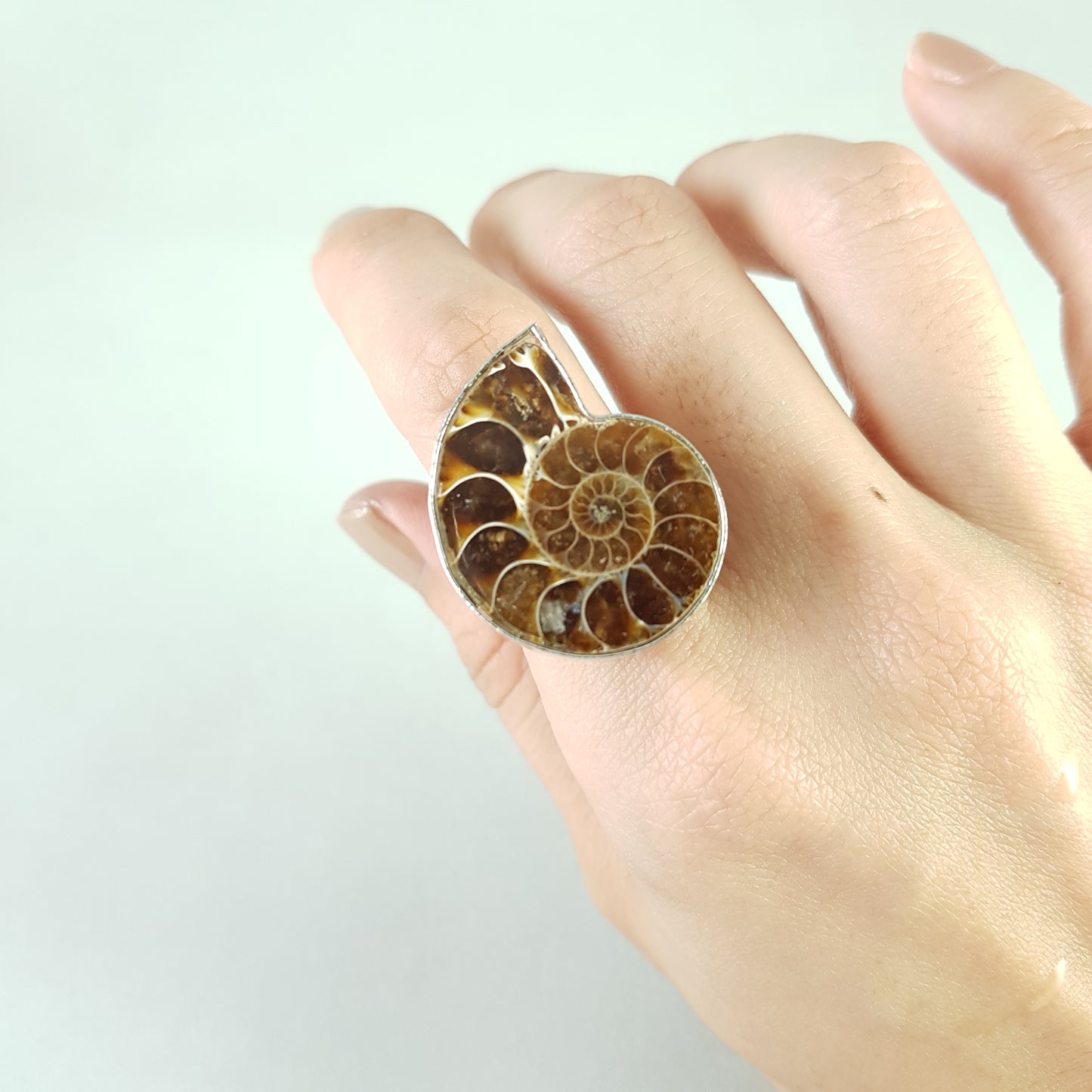 Ammonite Cocktail Ring