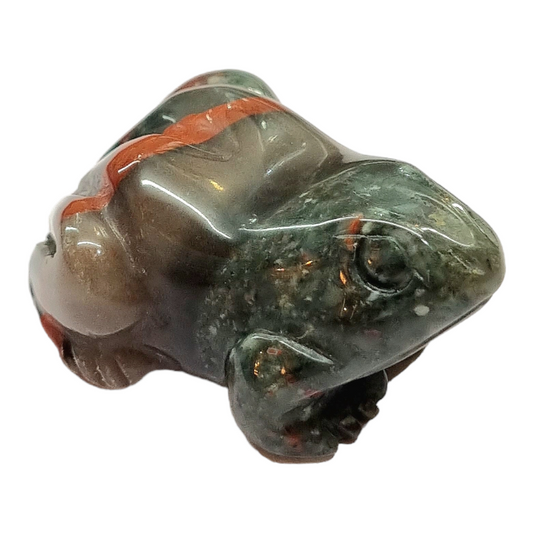 African Bloodstone Frog