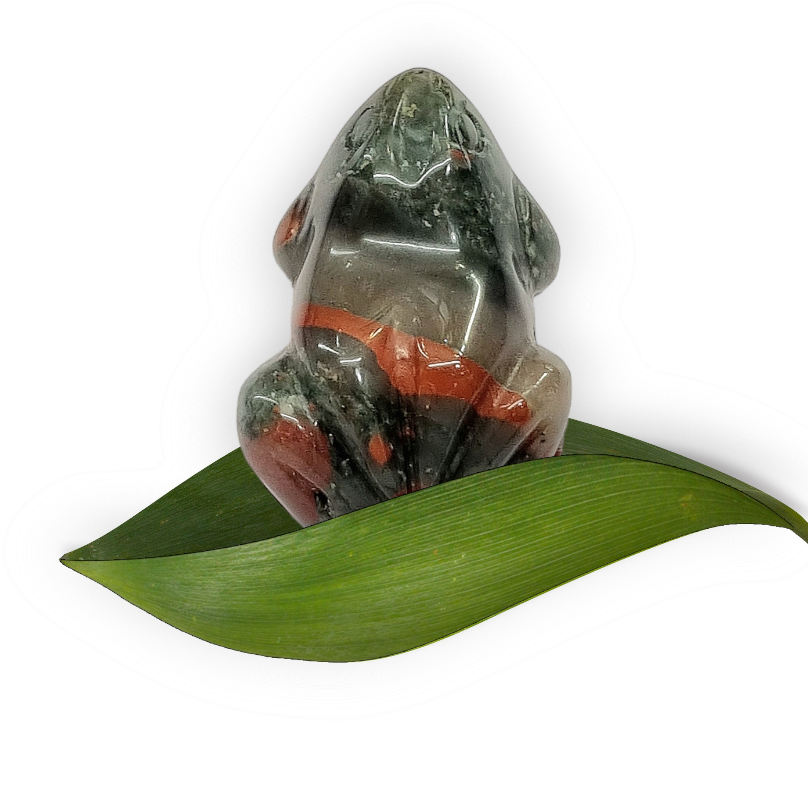African Bloodstone Frog