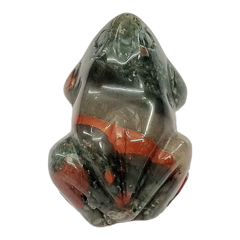 African Bloodstone Frog