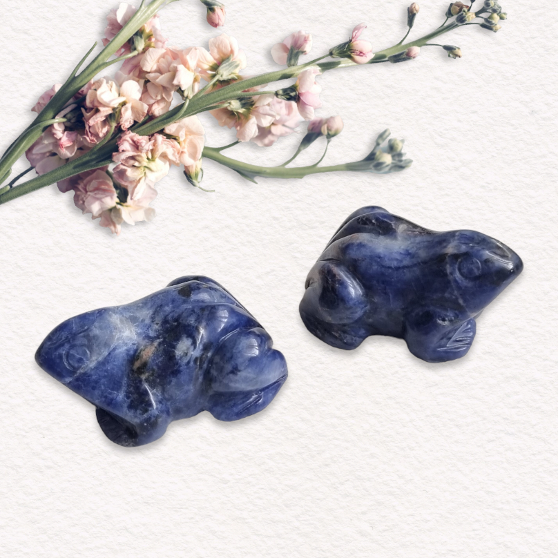 Frog, Sodalite