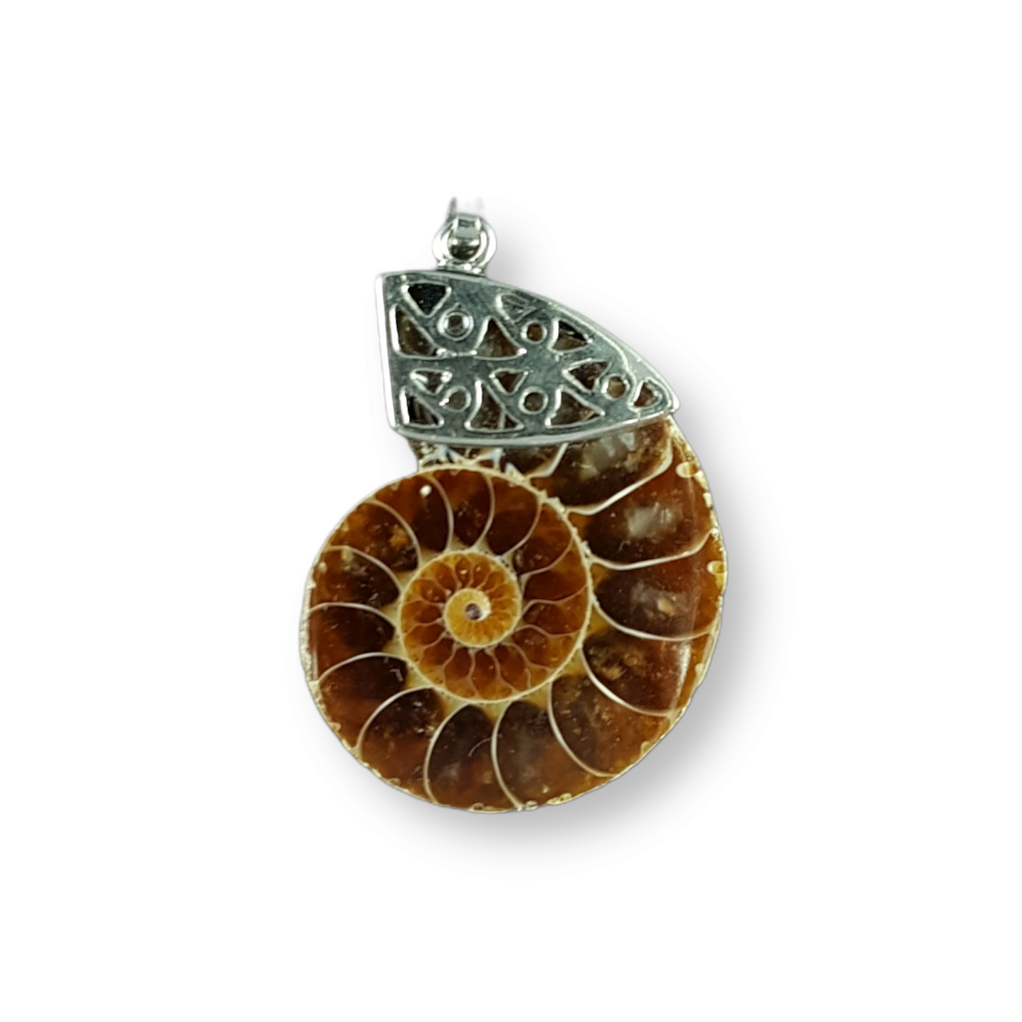 Ammonite Pendant Special Large