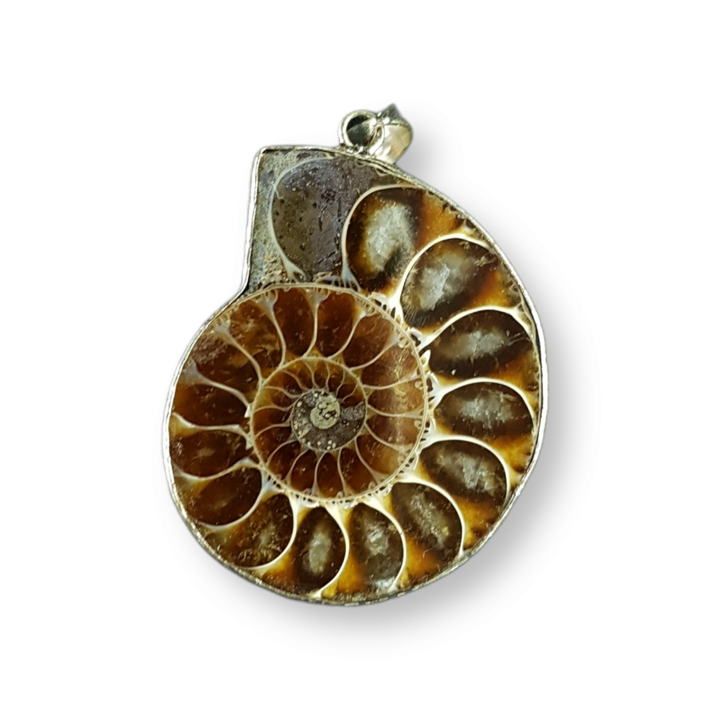 Ammonite Pendant Large