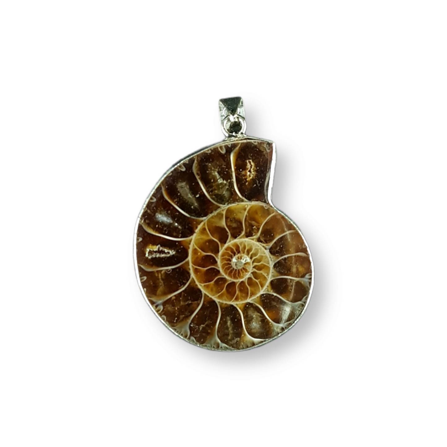 Ammonite Pendant Medium