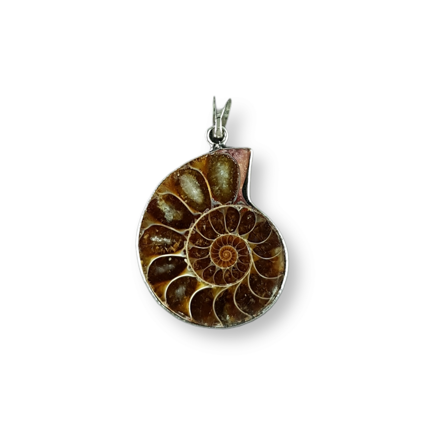 Ammonite Pendant Small