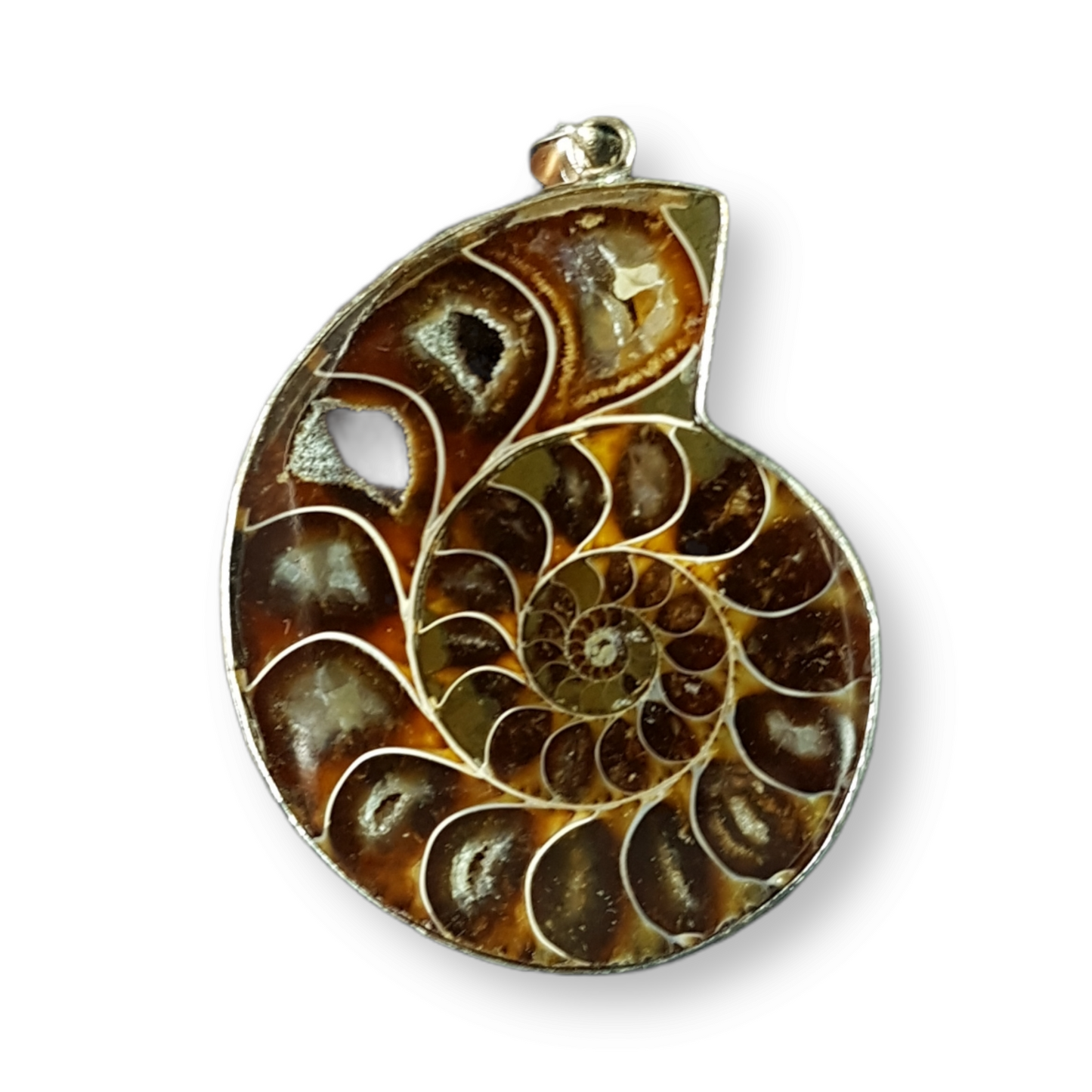 Ammonite Pendant Extra Large