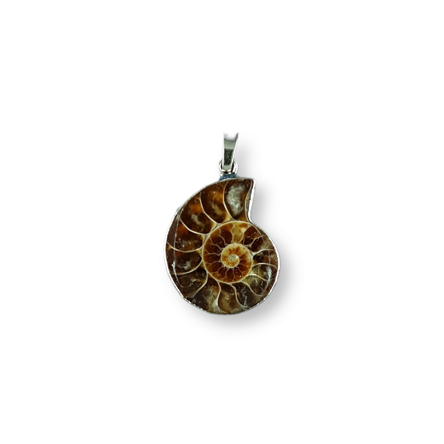 Ammonite Pendant SmallX