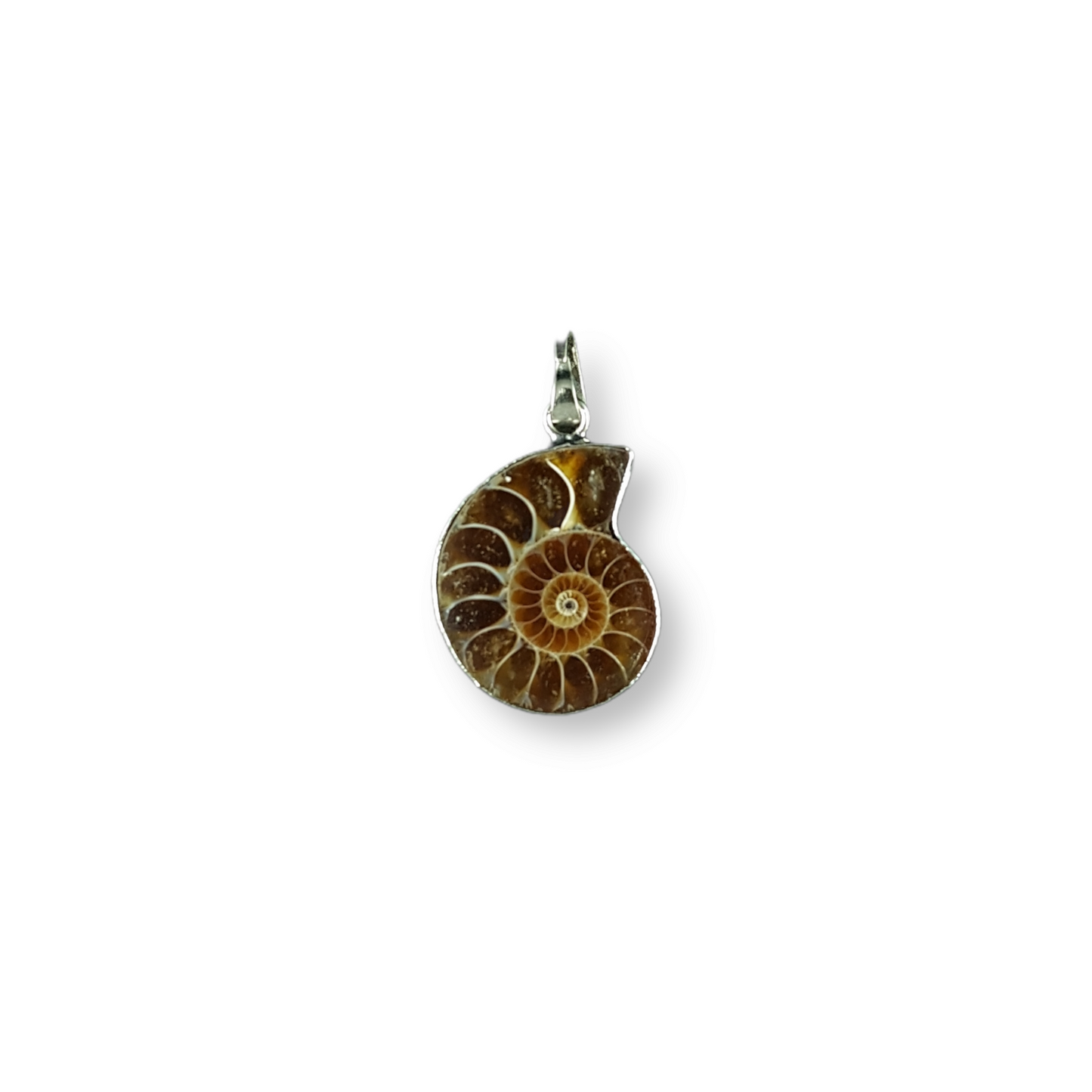 Ammonite Pendant SmallXX