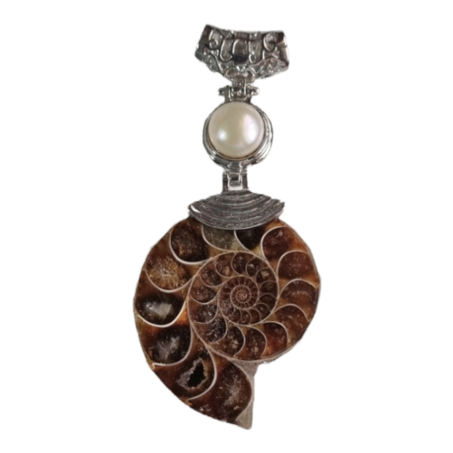 Ammonite Pendant Special Bead