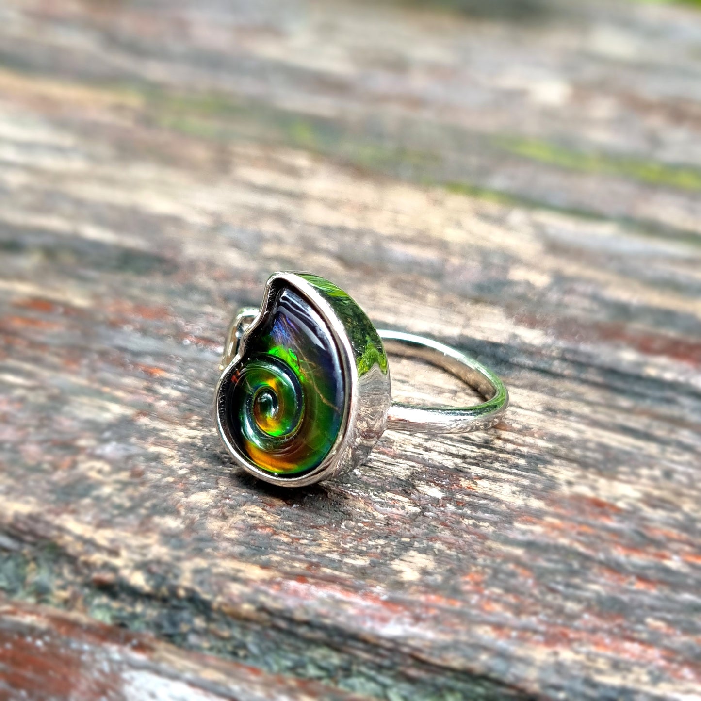 AMMOLITE RING